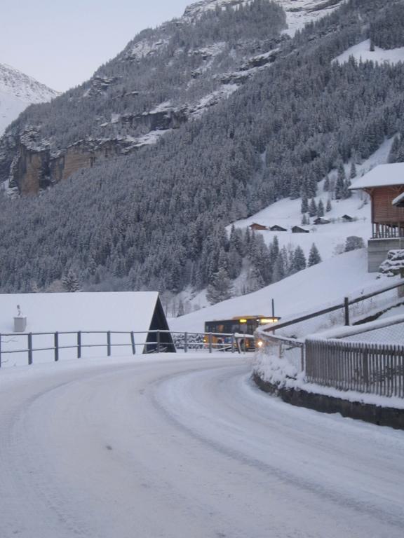 Appartement Baergblick