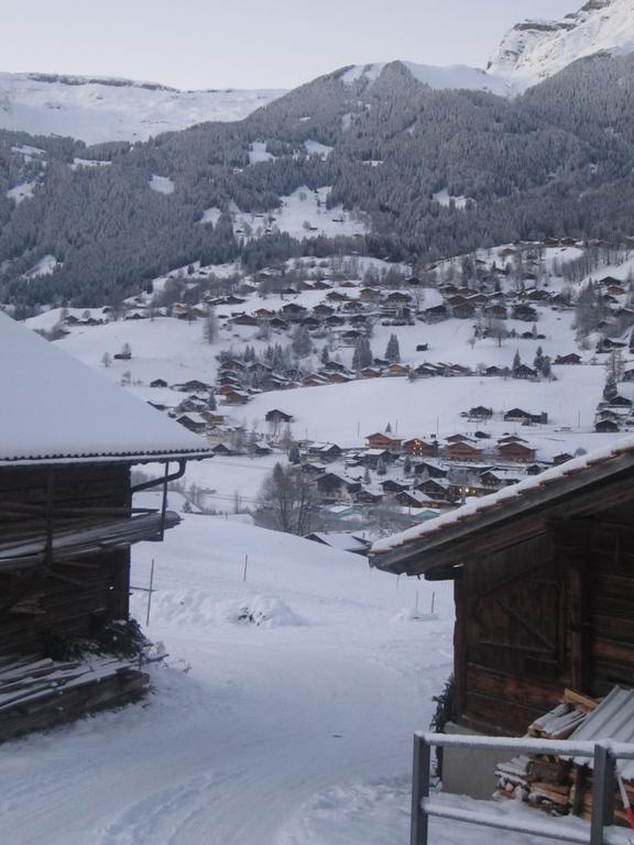 Appartement Baergblick *